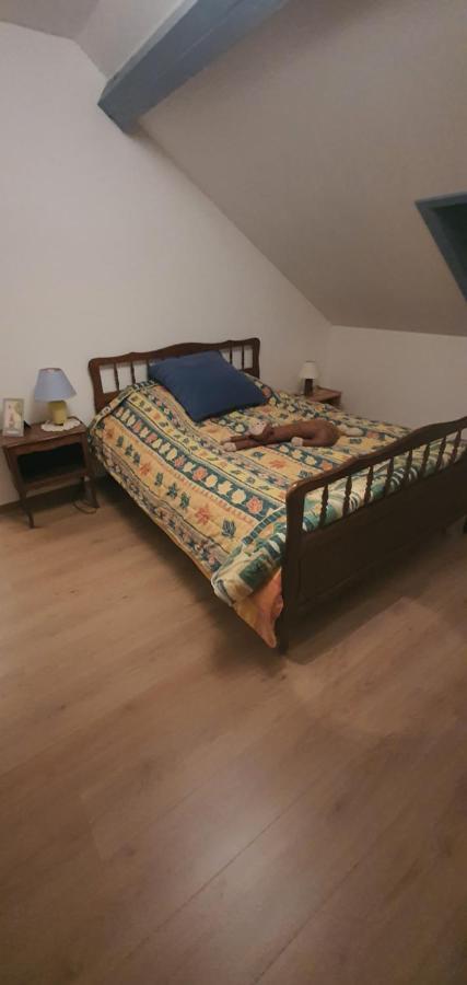 Le Petit Cocon Daire Comines-Warneton Dış mekan fotoğraf