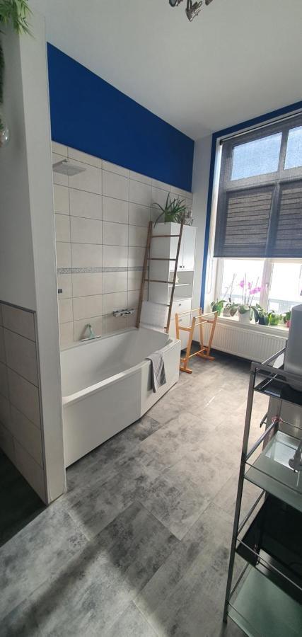 Le Petit Cocon Daire Comines-Warneton Dış mekan fotoğraf